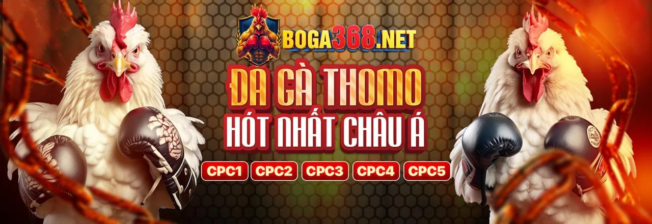 Sân vận động đầy ắp khán giả với ánh đèn rực rỡ, tượng trưng cho thế giới cá cược thể thao sôi động tại Goo888